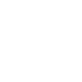 The Medical Outlet